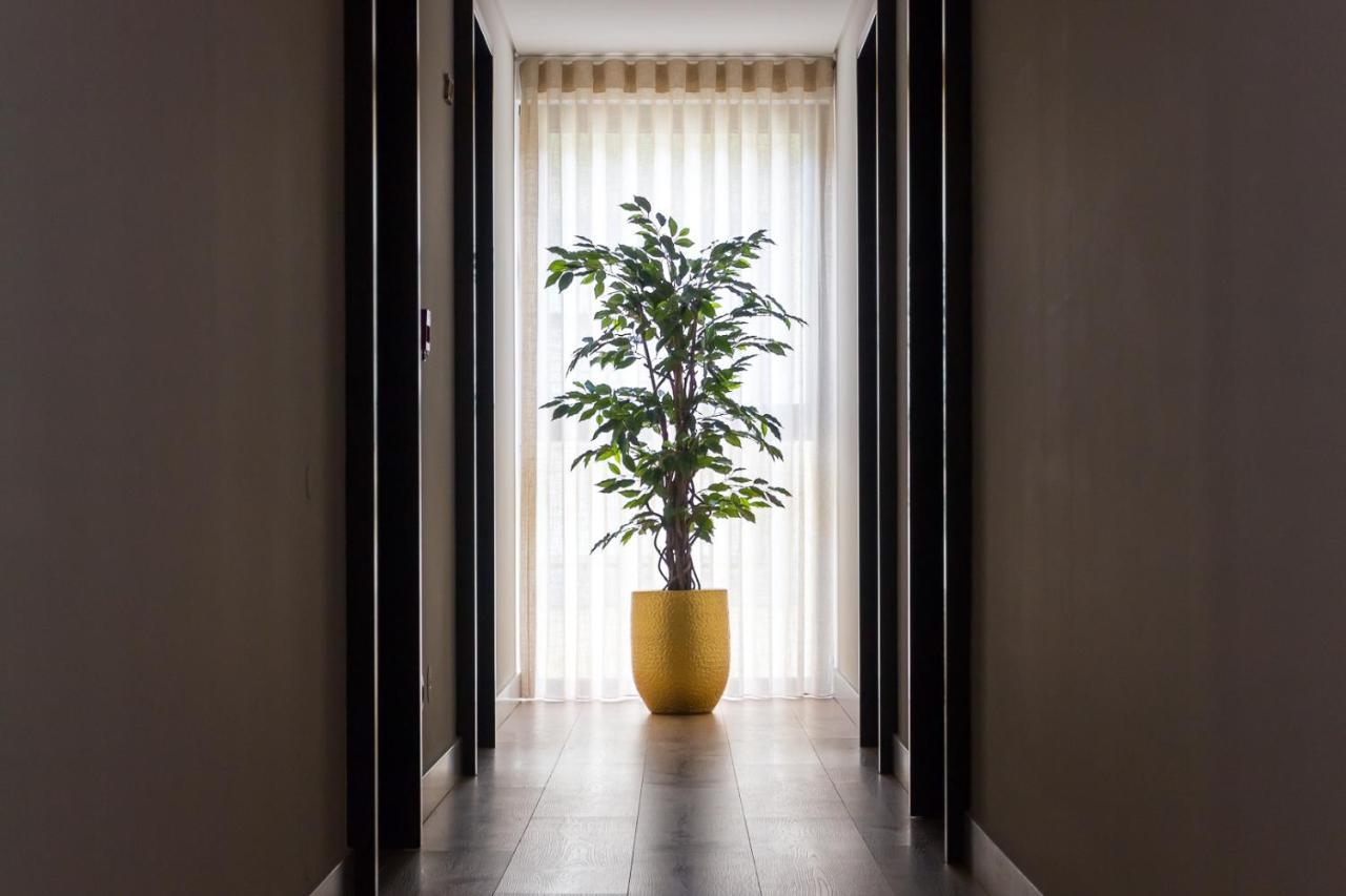 Ribeira House Bed & Breakfast Mirandela Luaran gambar